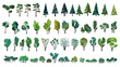 huge collection of stylized isolated green plants for your illustrations