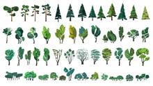 Huge Collection Of Stylized Isolated Green Plants For Your Illustrations