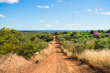 Wall Mural - Countryside road in Oeiras, Piaui state, Brazil - Sertao landscape