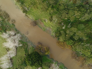 Overhead shot of a muddy river and surrounding vegetation