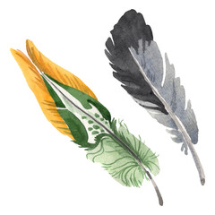 Watercolor bird feather from wing isolated. Aquarelle feather for background. Isolated feather illustration element.