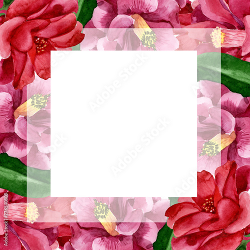 Red camelia floral botanical flower. Watercolor background illustration set. ...