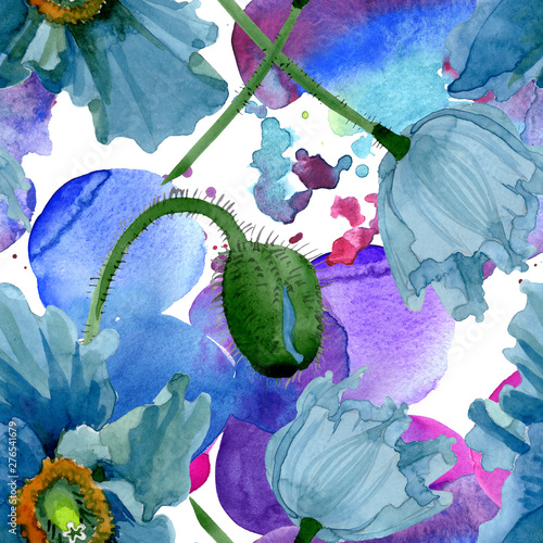 Blue poppy floral botanical flowers. Watercolor background illustration set. ...
