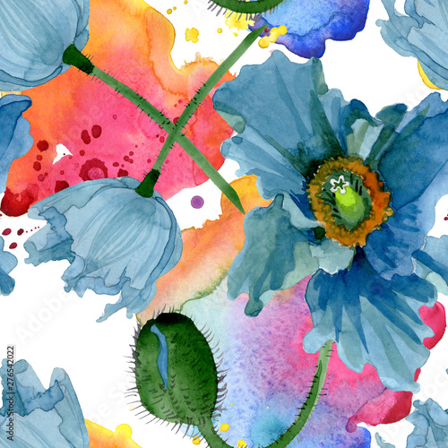 Blue poppy floral botanical flowers. Watercolor background illustration set. ...