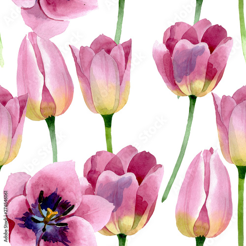 Pink tulips floral botanical flowers. Watercolor background illustration set....