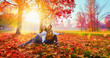 © Pasko Maksim  - Happy Couple Enjoying The Fall Season. Autumn Landscape. Fall Scene