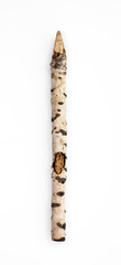 Wall Mural - wooden stake, birch log on a white background