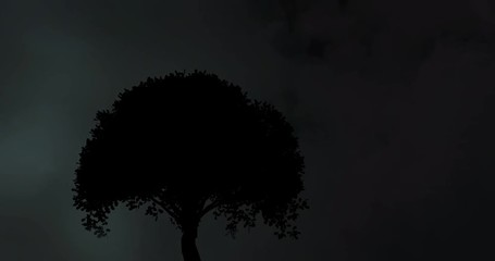 Wall Mural - silhouette of a tree