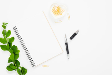 Canvas Print - Flat lay woamn desk with feminine accessories and branch of barberry with green leaves. Top view paper notepad, stationery, plant and female stuff. Beauty blog banner mockup with copy space.