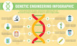 Genetic engineering infographic. Flat illustration of genetic engineering vector infographic for web design