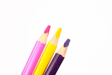 Canvas Print - set of colored pencils on a white background