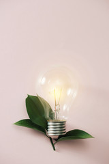 eco green energy concept bulb, lightbulb leaves on pink background.