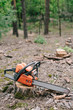 © LIGHTFIELD STUDIOS - electric, sharp, orange chainsaw on wood stump in forest