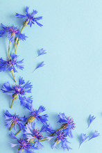 Blue Cornflowers On Blue Paper Background