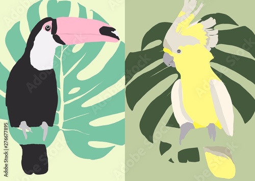 tropical birds background illustration