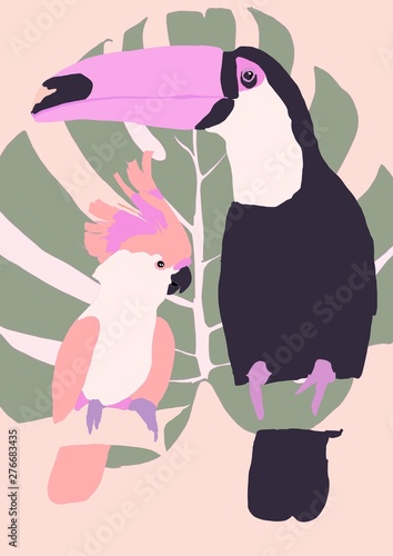 tropical birds background