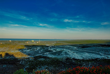 very nice view of normandie coast in france