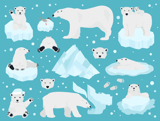 Wall Mural - Polar bears set, teddy bear in Arctic