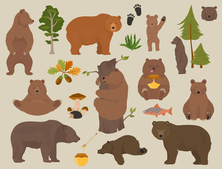 all bear species in one set. bears in forest collection