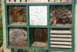 Bug insect Hotel