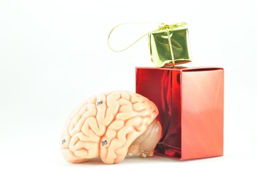 gift box and human brain model