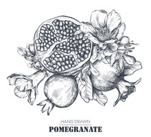 Vector Composition Of Pomegranate Fruits, Flowers, Branches.