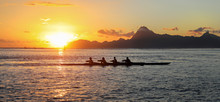 Silhouette View Of 4 Long Boat Crew Rowers In The Pacific Ocean At Sunset. 