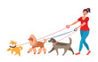 © irina - The girl walks a few dogs. Professional dog Walker. Vector illustrations unusual professions