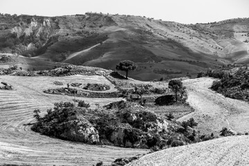 Wall Mural - Campagna della Sicilia