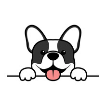 Cute French Bulldog Puppy Paws Up Over Wall, Dog Face Cartoon, Vector Illustration