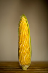 yellow,raw,ripe corn,close-up