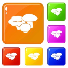 Wall Mural - Mushrooms icons set collection vector 6 color isolated on white background