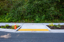 Newly Planted Median Between The Street And New Sidewalk, Including Disabled Entrance Ramp, Ferns, Ornamental Grasses, Other Plants, And Orange Safety Cone