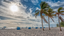 Dramatic Clouds And Wind Blows Palm Trees At Singer Island Beach In Florida
