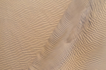 Wall Mural - dawn light, sand dune patterns