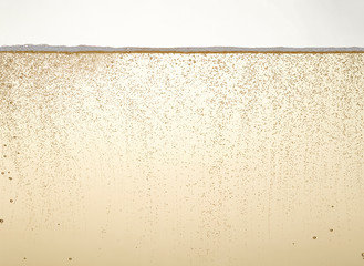 Wall Mural - Champagne gold bubbles