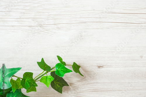 Green Plant And Wood Grain Background Material 緑の植物と木目の背景素材 Stock Photo Adobe Stock Green Plant And Wood Grain Background Material 緑の植物と木目の背景素材 Stock Photo Adobe Stock