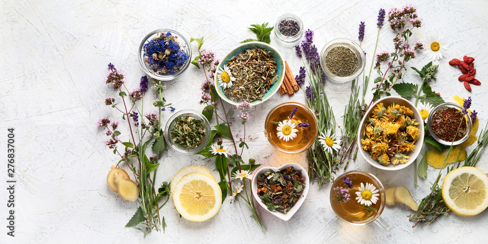 Various kinds of herbal tea - obrazy, fototapety, plakaty 