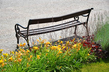Bench In The Park In Summer Time