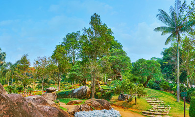 Canvas Print - The beauty of tropical garden, Mae Fah Luang garden, Doi Tung, Thailand