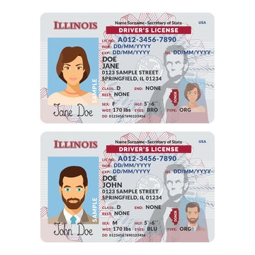 vector template of sample driver license plastic card for usa illinois