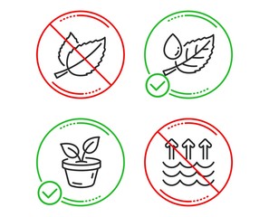 Do or Stop. Mint leaves, Leaves and Leaf dew icons simple set. Evaporation sign. Mentha herbal, Grow plant, Water drop. Global warming. Nature set. Line mint leaves do icon. Prohibited ban stop