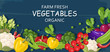 Farm fresh vegetables Vector banner. Store shop grocery detailed illustrations posters