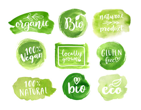 eco, organic food labels. vector green abstract hand drawn watercolor background. natural, organic f