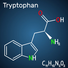 Sticker - Tryptophan, Trp or W amino acid molecule, is used in the biosynthesis of proteins. Structural chemical formula on the dark blue background. Vector illustration