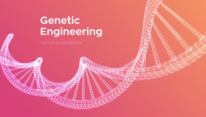 Wall Mural - DNA sequence. Wireframe DNA molecules structure mesh. DNA code editable template. Science and Technology concept. Vector illustration.