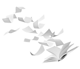 Wall Mural - paper document flying open book  business wind office