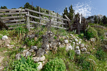 Canvas Print - idyllische Landschaft auf Kos, Griechenland