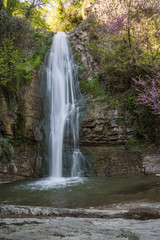 Poster - botanical garden waterfall and pond in tbilisi