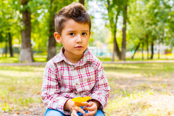 Poster - boy with the yellow leaf sitting the Park